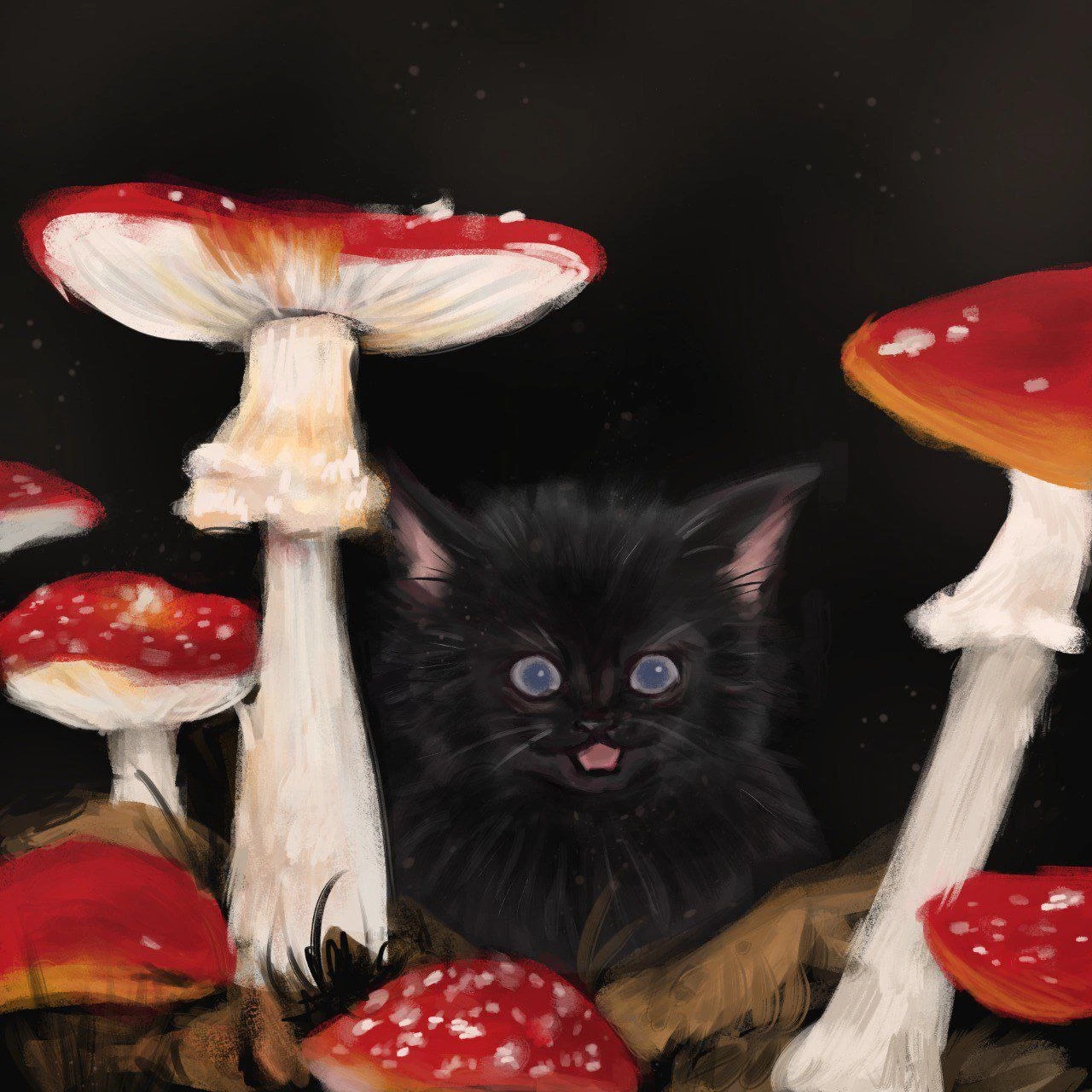 Чёрный котёнок среди больших красных мухоморов.